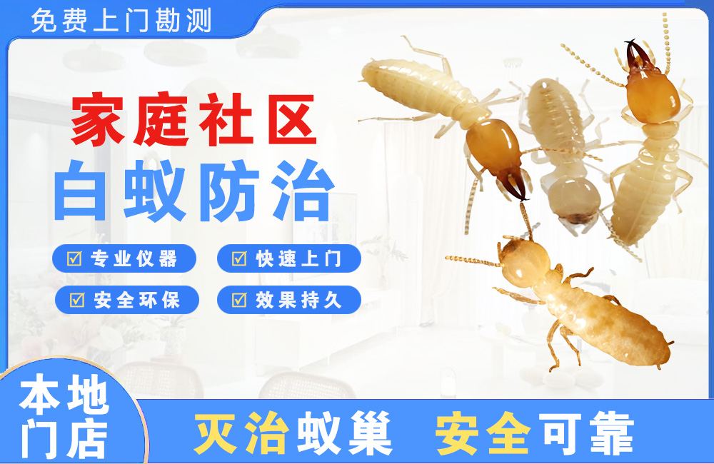 永春家庭社区白蚁防治
