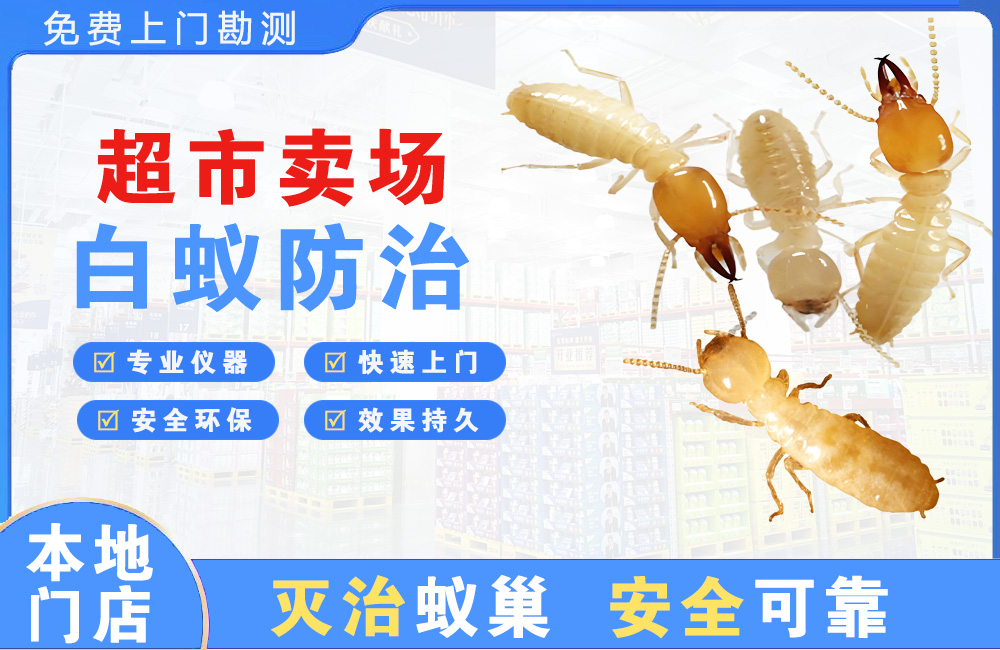 永春超市卖场白蚁防治