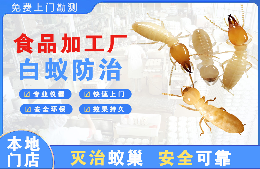 永春食品加工厂白蚁防治