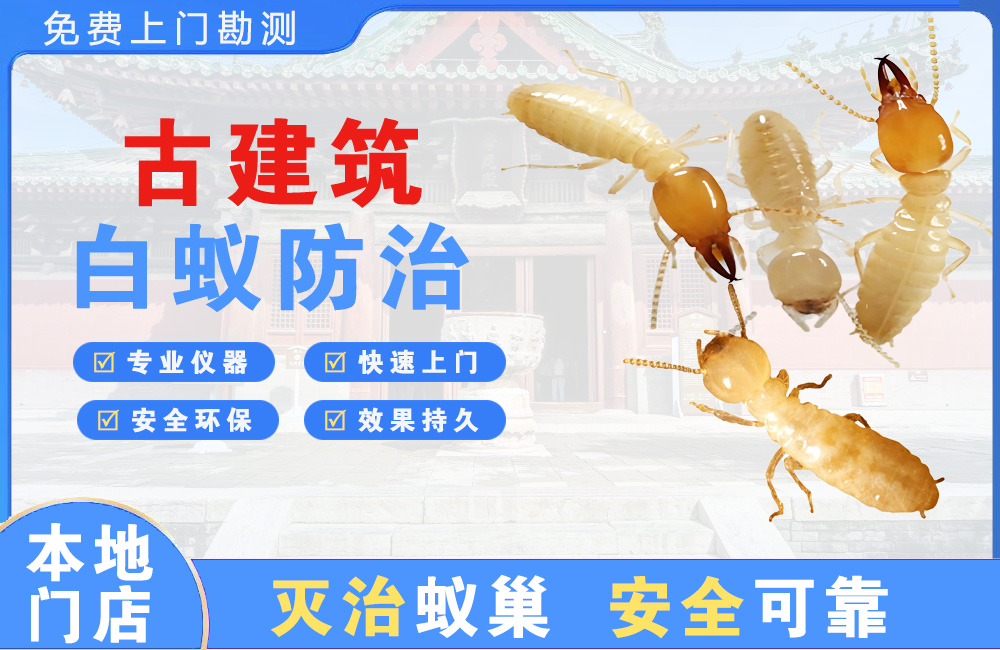 永春古建筑白蚁防治
