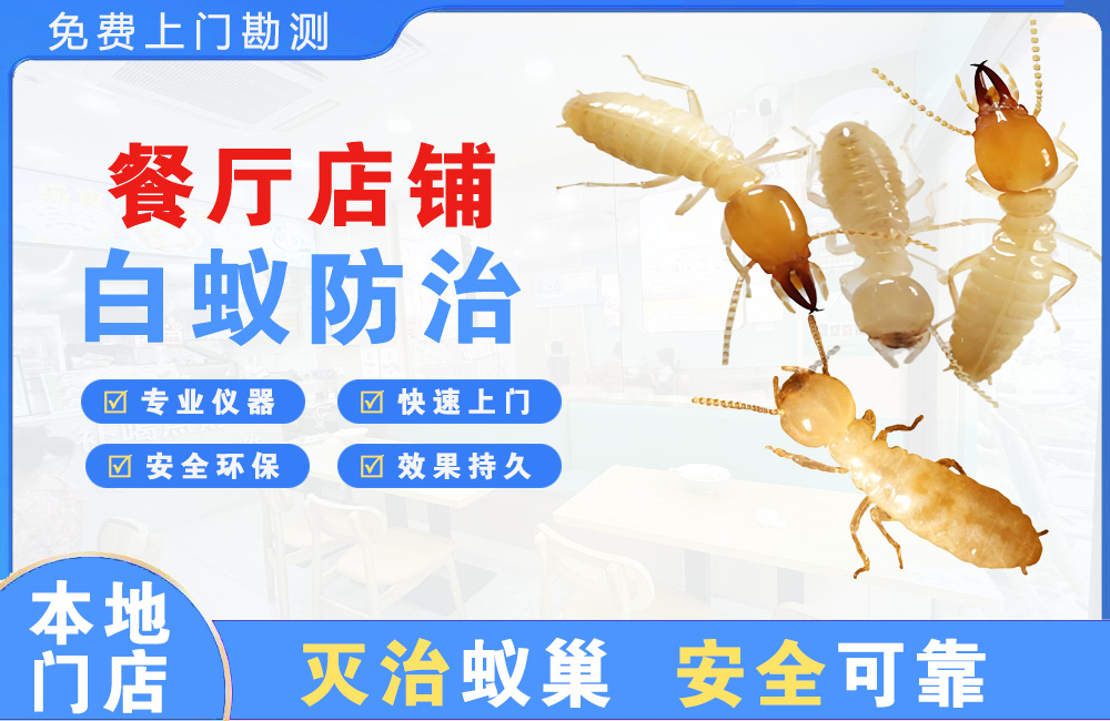 永春餐厅店铺白蚁防治